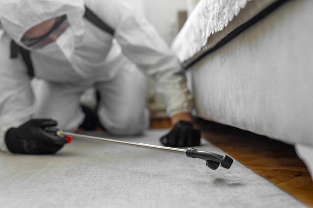Professional Bed Bug Control technician working in Rossmoor, NJ