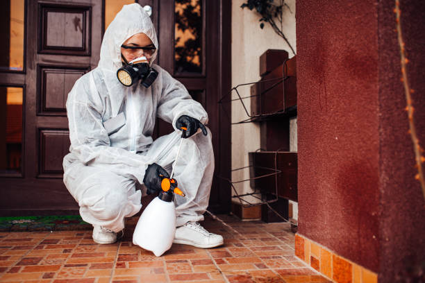 Reliable Bed Bug Control contractor in Rossmoor, NJ by Nex Pest Control