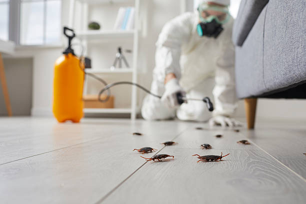 Trusted Bed Bug Control service in Rossmoor, NJ - Nex Pest Control