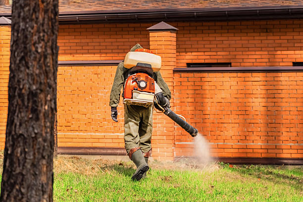 Trusted Termite Control service in Rossmoor, NJ - Nex Pest Control